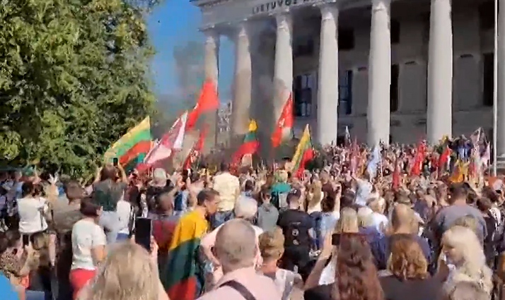 Proteste prie Seimo – dūmų akcija ir skanduojami šūkiai Proteste prie Seimo – dūmų akcija ir skanduojami šūkiai