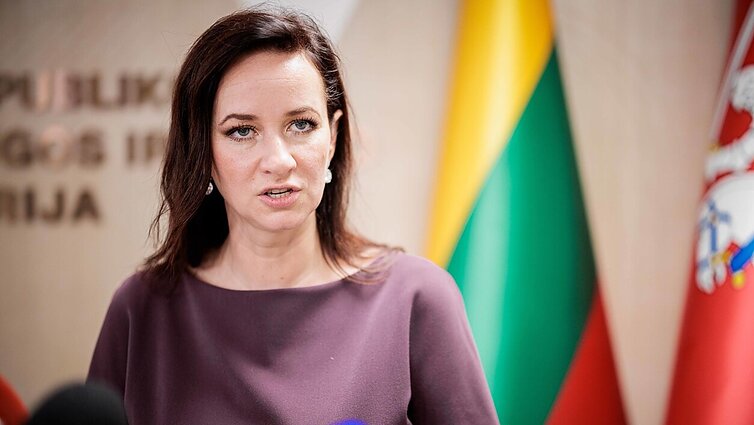 Ruginienė: nepriešinkime oro gynybos ir poligono, abi yra svarbios saugumui priemonės Ruginienė: nepriešinkime oro gynybos ir poligono, abi yra svarbios saugumui priemonės